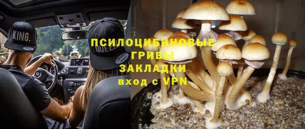 винт Алексеевка