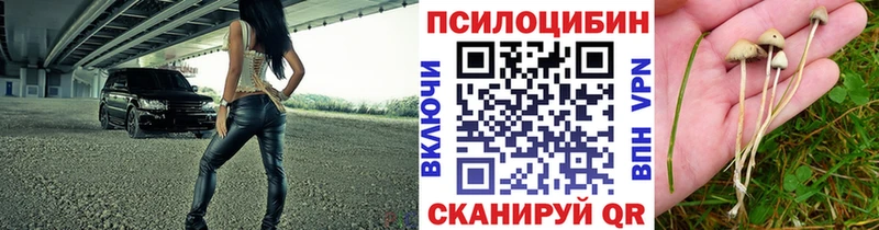 Галлюциногенные грибы мухоморы  Суворов 